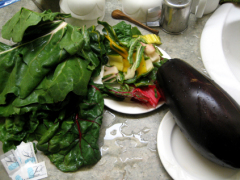 1597 veg prepare