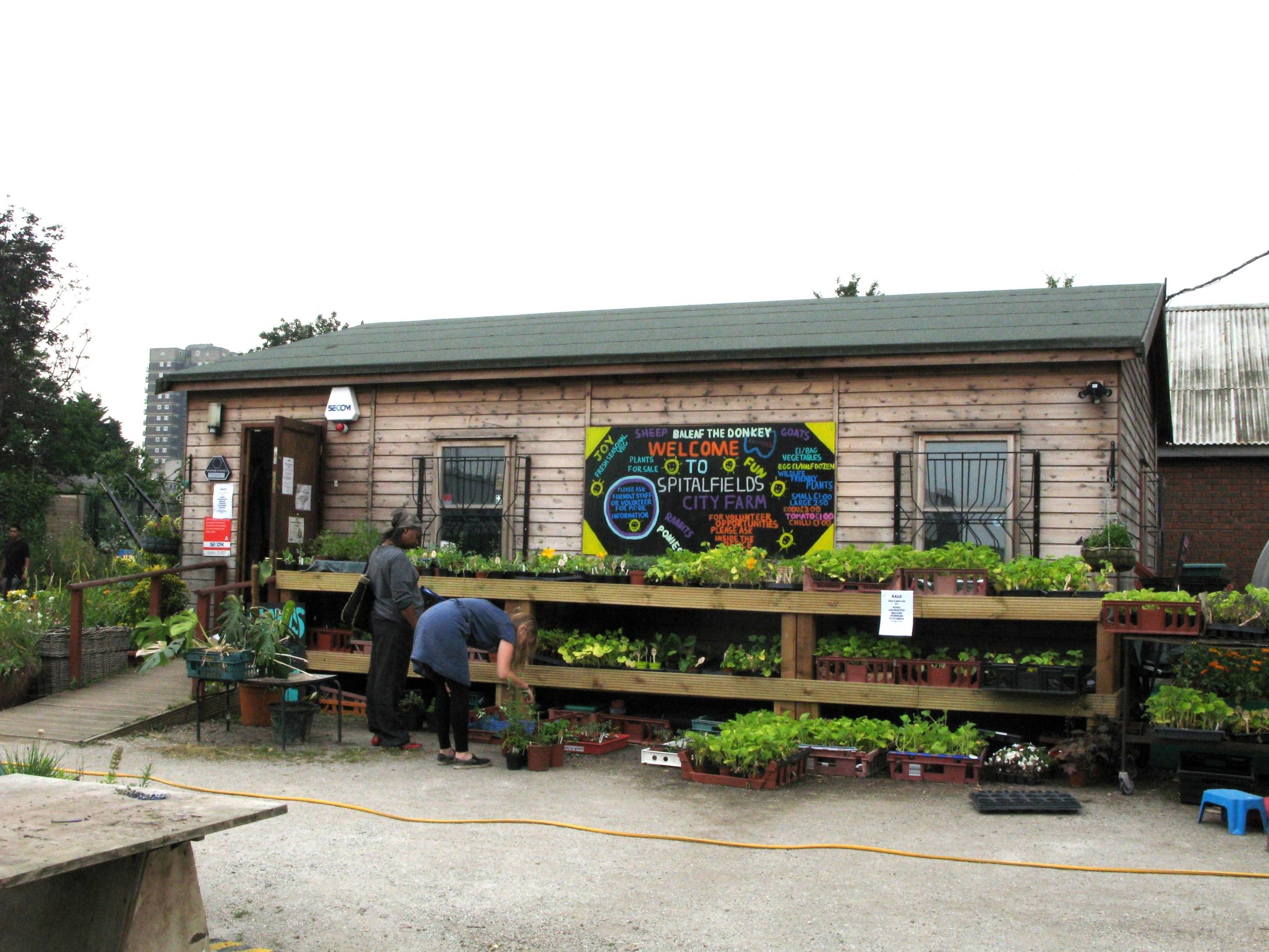 Spitalfields City Farm Cafe Spitalfields City Farm Cafe
